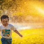 The Summer