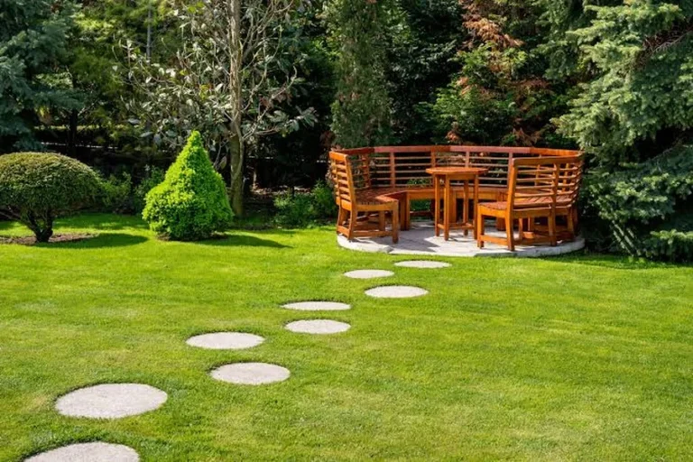 How To Beautify Your Backyard